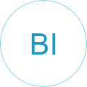 BI管理系统定制开发